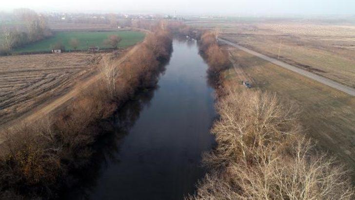Edirne'de 'su maymunları' görüntülendi: Kedi gibi ses çıkarıyorlar G3