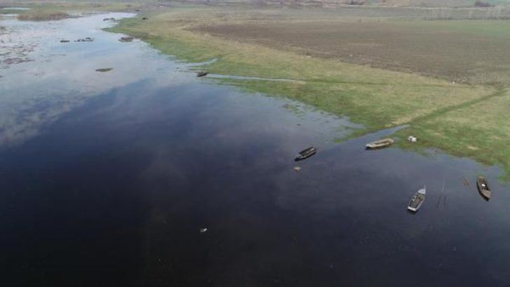 Edirne'de 'su maymunları' görüntülendi: Kedi gibi ses çıkarıyorlar G4