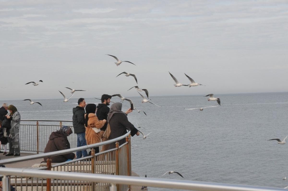 Doyumsuz manzarada Martıların ekmek kavgası