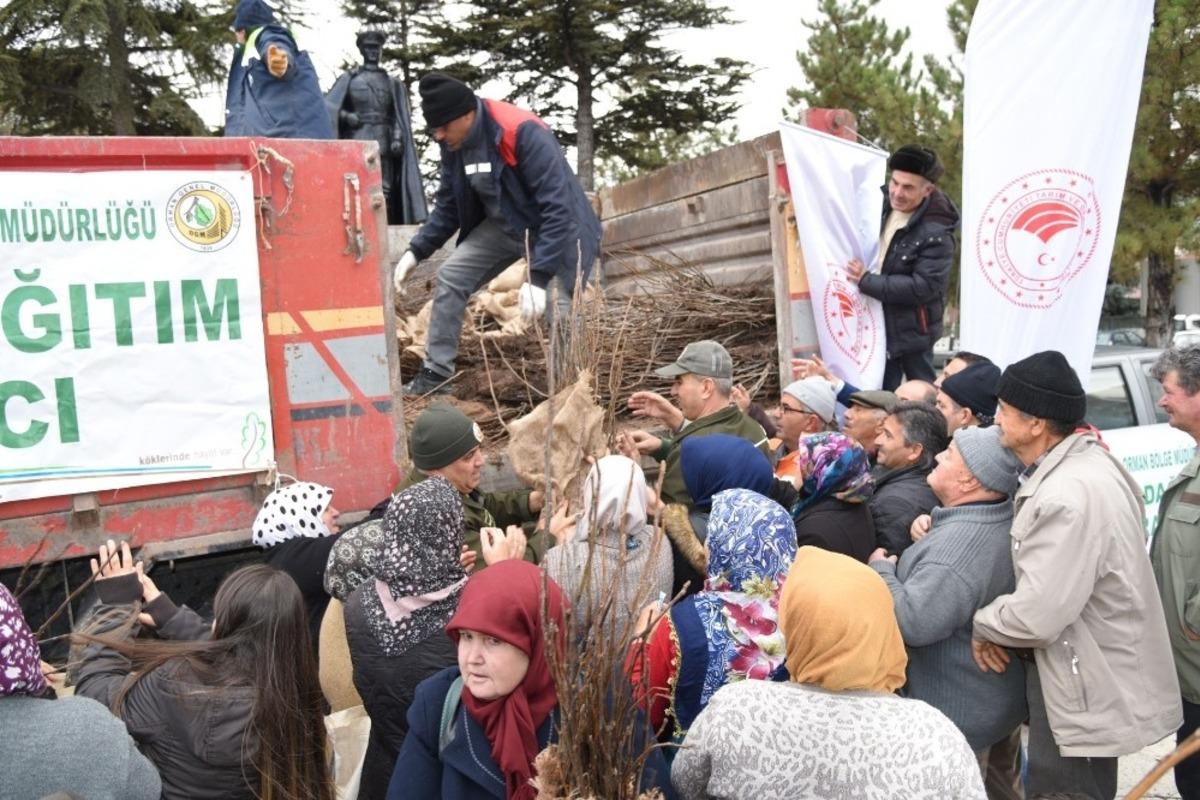 Eskişehir Orman B&ouml;lge M&uuml;d&uuml;rl&uuml;ğ&uuml; 100 bin ceviz fidanı dağıttı