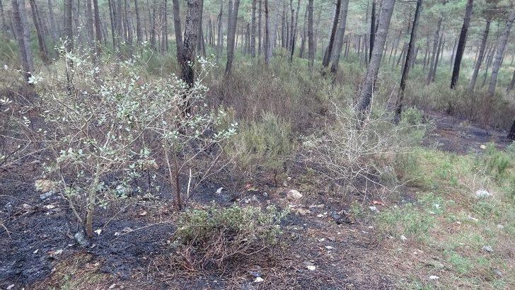 Aydos Ormanı’nda üç ayrı yangın çıktı G2
