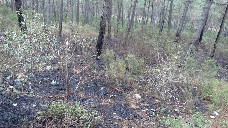 Aydos Ormanı’nda üç ayrı yangın çıktı G3