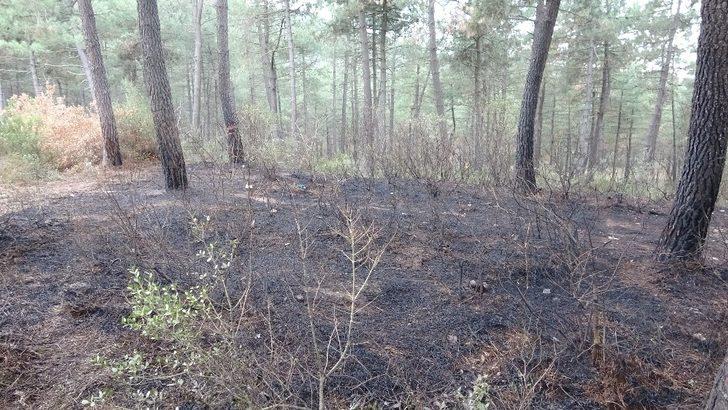 Aydos Ormanı’nda üç ayrı yangın çıktı G4