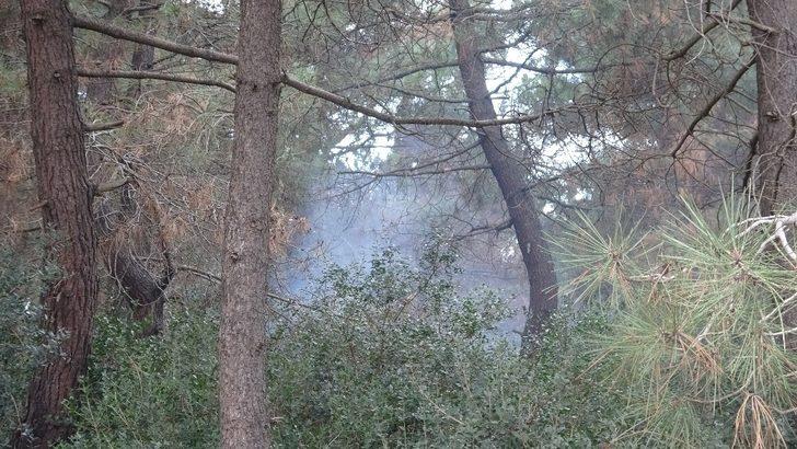 Aydos Ormanı’nda üç ayrı yangın çıktı G5