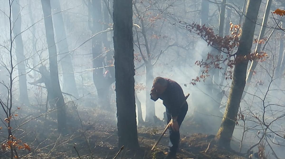 G&Uuml;NCELLEME - D&uuml;zce'de &ccedil;ıkan orman yangını kontrol altına alındı