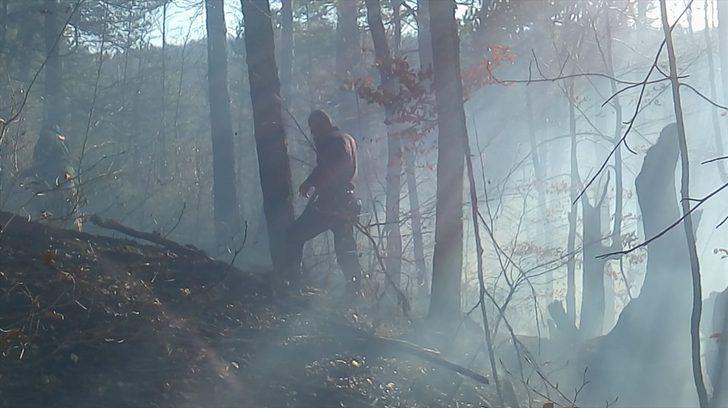 GÜNCELLEME - Düzce'de çıkan orman yangını kontrol altına alındı G2
