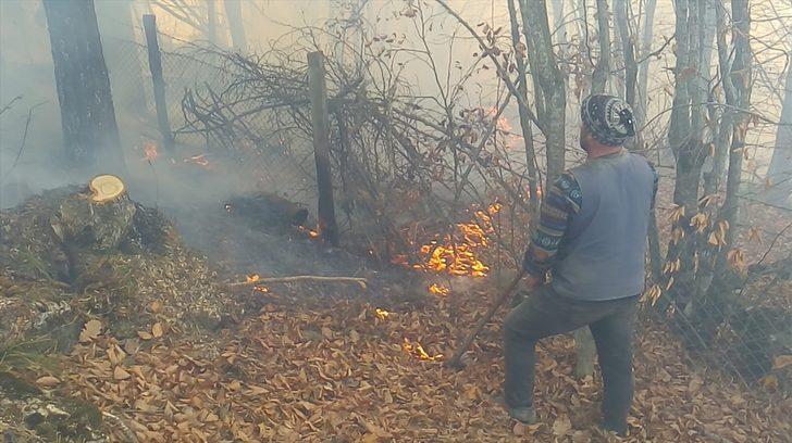GÜNCELLEME - Düzce'de çıkan orman yangını kontrol altına alındı G3