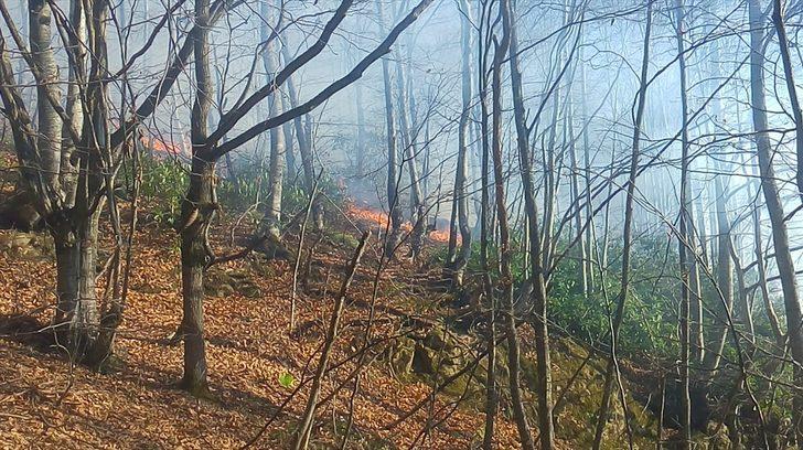 GÜNCELLEME - Düzce'de çıkan orman yangını kontrol altına alındı G4