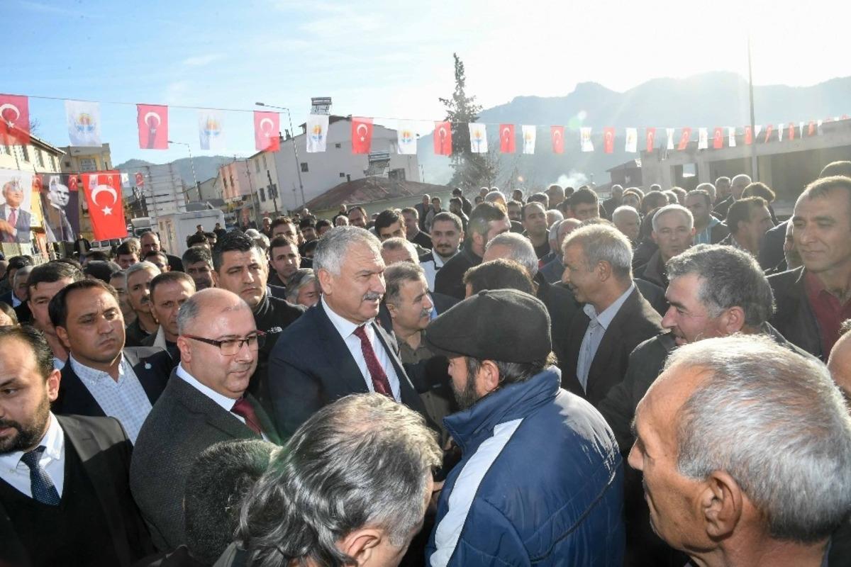 &Uuml;reticiye 42 bin 500 lavanta fidesi