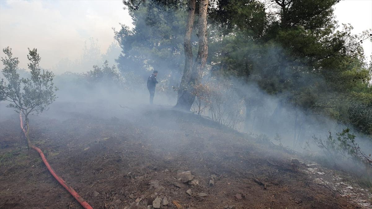 Bursa'da ormanlık alanda &ccedil;ıkan yangına m&uuml;dahale ediliyor