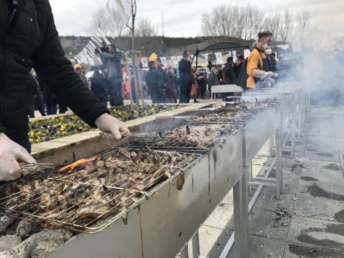 Ankara'da Balık Festivali! 2 ton hamsi 2 saatte bitti