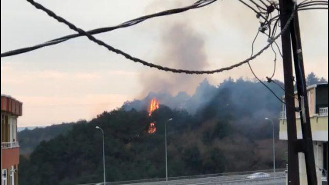 Arnavutköy'de orman yangını (1)