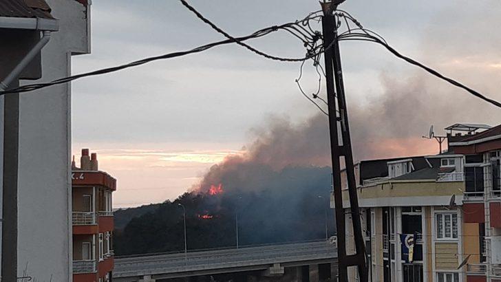 Son dakika: İstanbul Arnavutköy'de orman yangını! Çok sayıda ekip sevk edildi G1