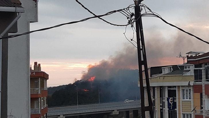 Son dakika: İstanbul Arnavutköy'de orman yangını! Çok sayıda ekip sevk edildi G2