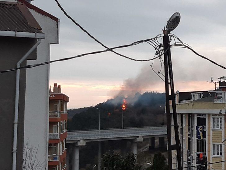 Son dakika: İstanbul Arnavutköy'de orman yangını! Çok sayıda ekip sevk edildi G3