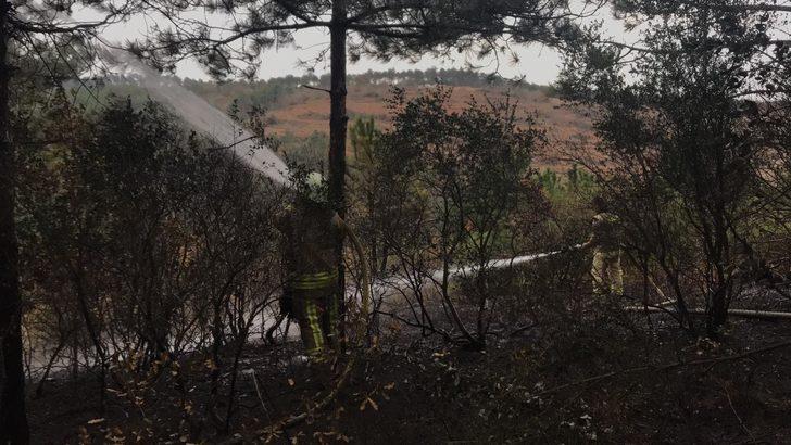 Son dakika: İstanbul Arnavutköy'de orman yangını! Çok sayıda ekip sevk edildi G4