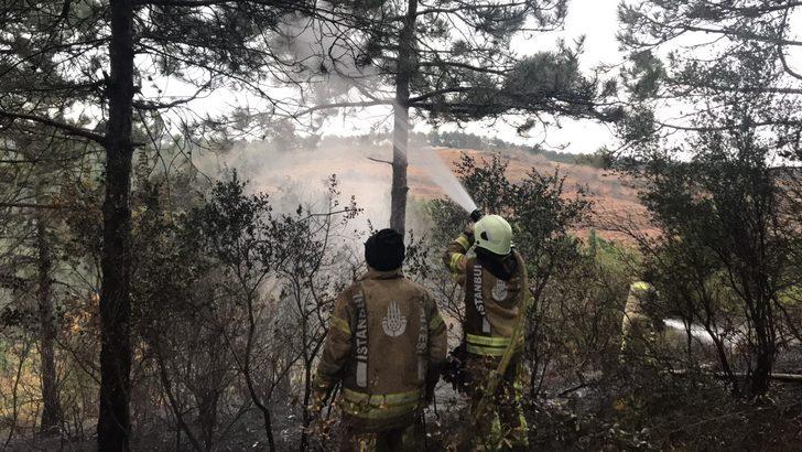 Son dakika: İstanbul Arnavutköy'de orman yangını! Çok sayıda ekip sevk edildi G5