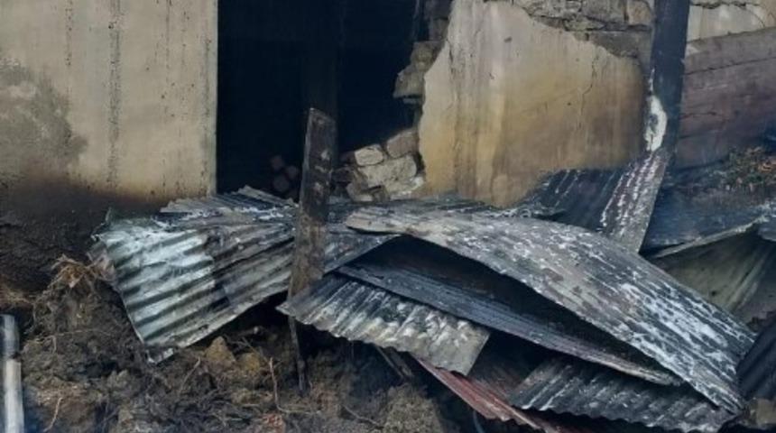 Sinop’ta ahır yangını: 5 büyükbaş hayvan telef oldu