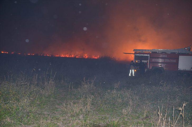 İznik Gölü kıyısındaki sazlık alanda yangın çıktı G3