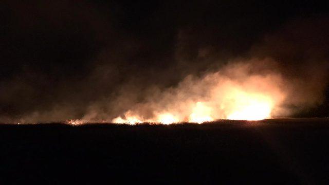 Bursa’da sazlık alanda yangın (2)