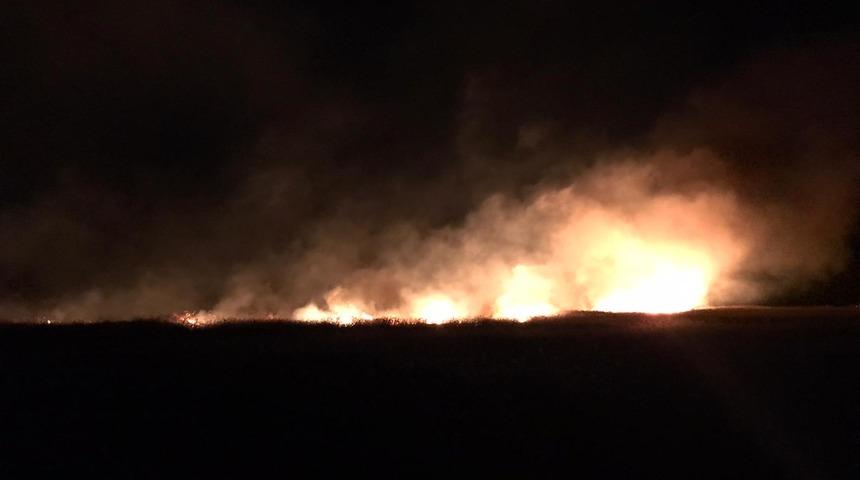 Bursa&rsquo;da sazlık alanda yangın (2)