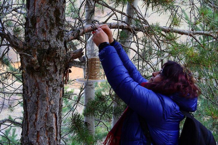 Gümüşhaneli dağcılar Sarıkamış Şehitleri için yürüdü G4