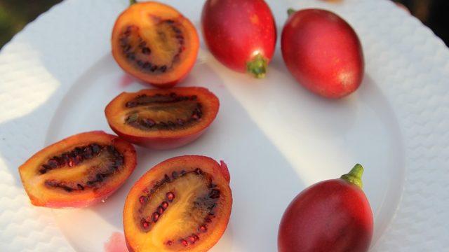 Ağaç domatesi ’Tamarillo’ Rize’yi sevdi