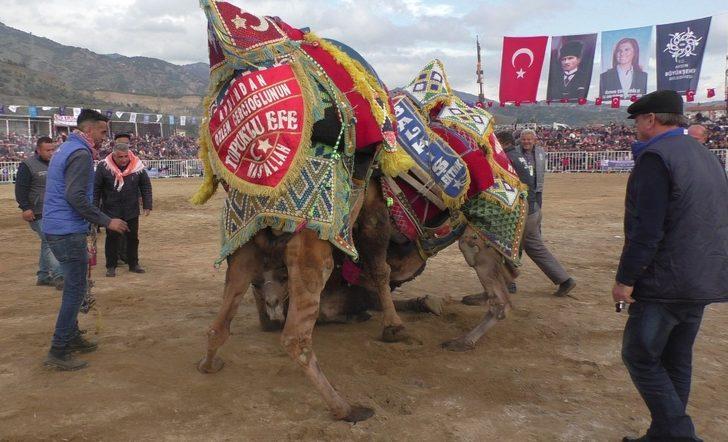 Deve güreşi festivali binlerce Aydınlıyı bir araya getirdi G3