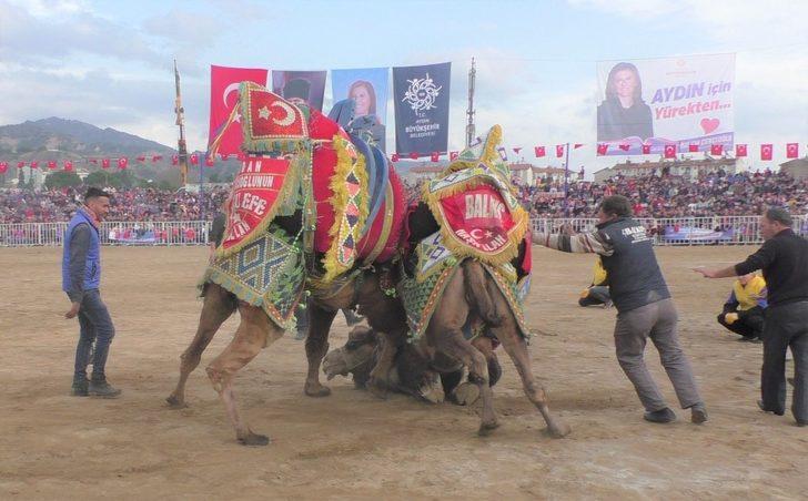 Deve güreşi festivali binlerce Aydınlıyı bir araya getirdi G5