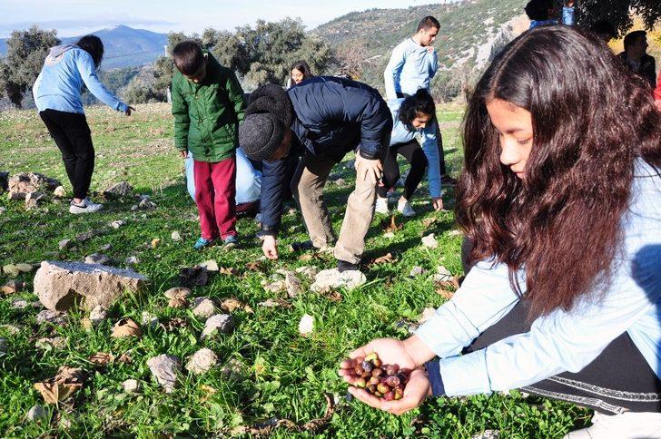 Gönüllü gençler yaşlı çiftin zeytinlerini toplayıp yağını evlerine teslim etti G3