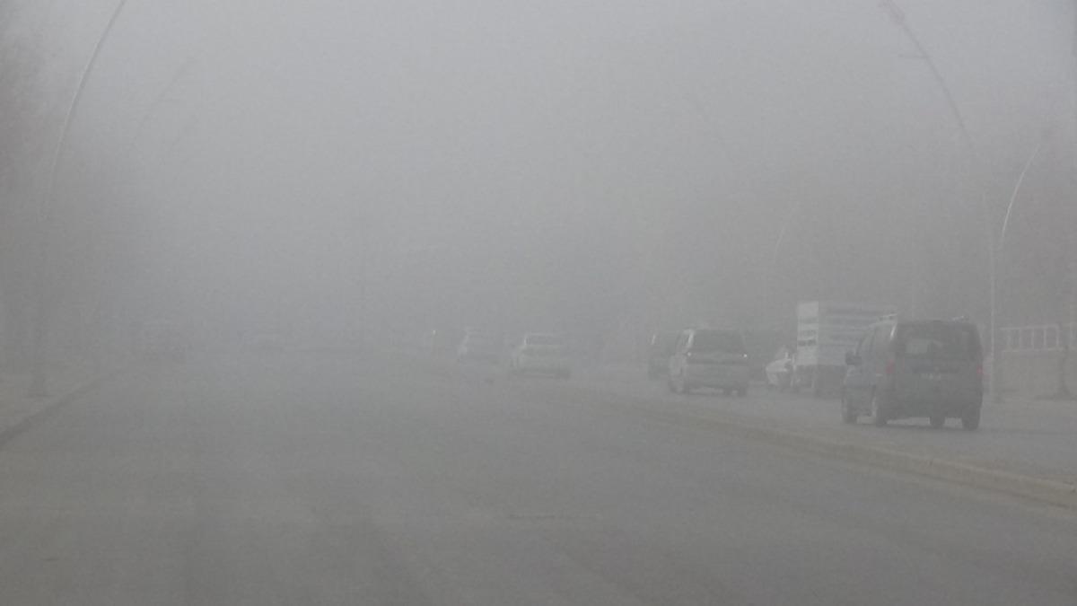 Muş&rsquo;ta yoğun sis