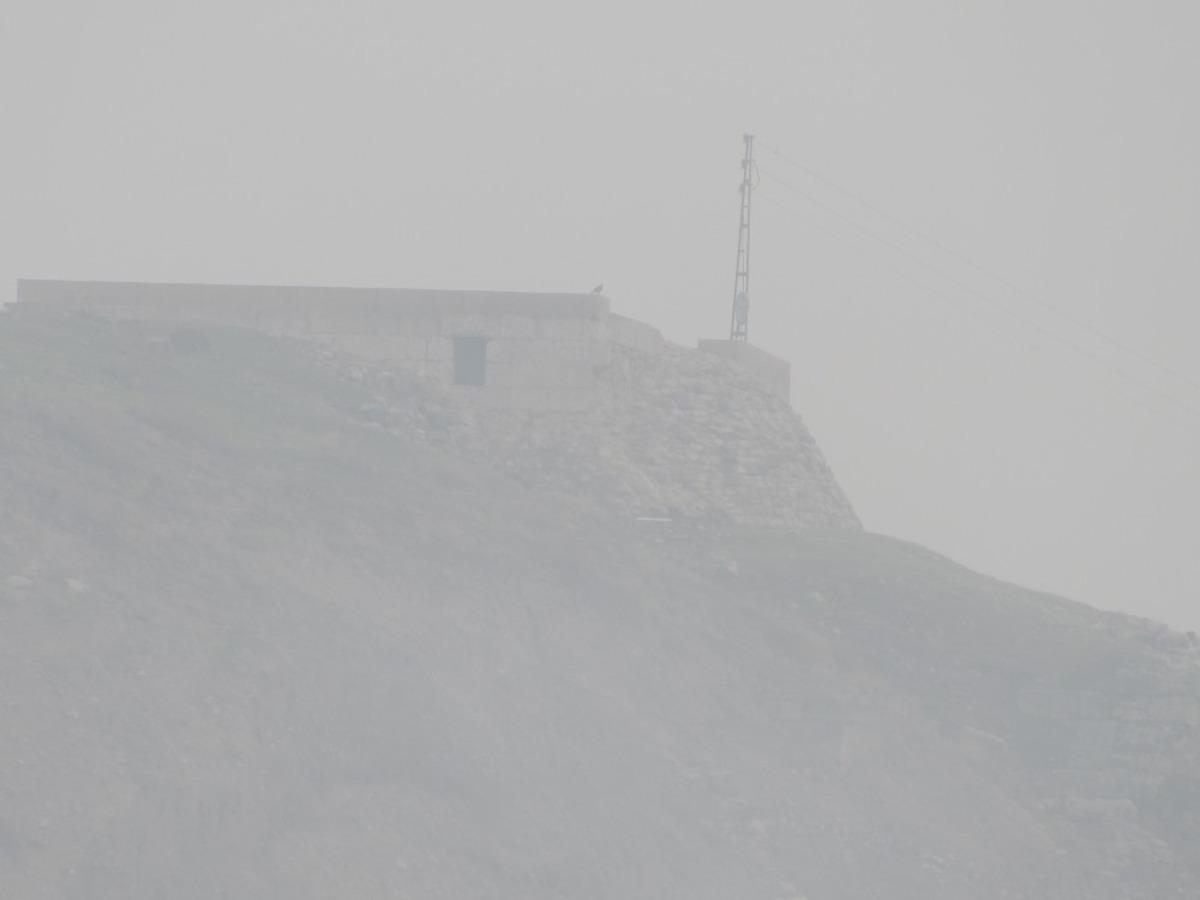 Araban&rsquo;da yoğun sis