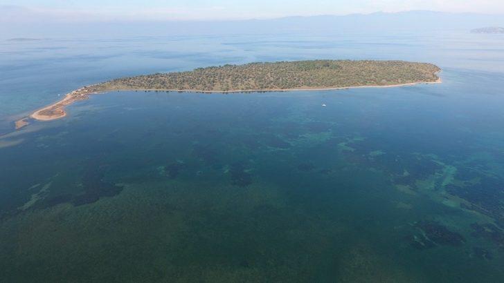  Çiçek Adası'nın fiyatı güncellendi, 135 milyon lira G5