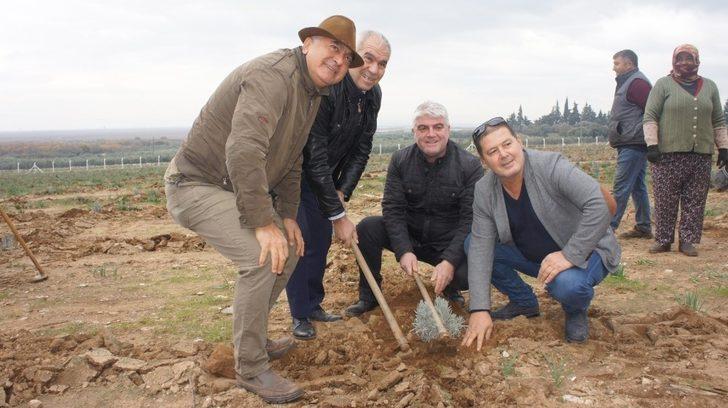 Söke Doğanbey’de lavanta kokacak G2