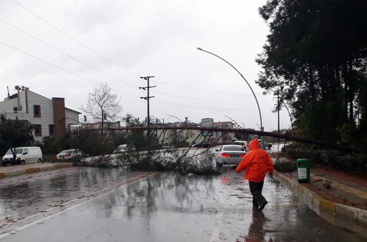 Antalya'da dev dalgalar, falezleri dövdü (3) G3