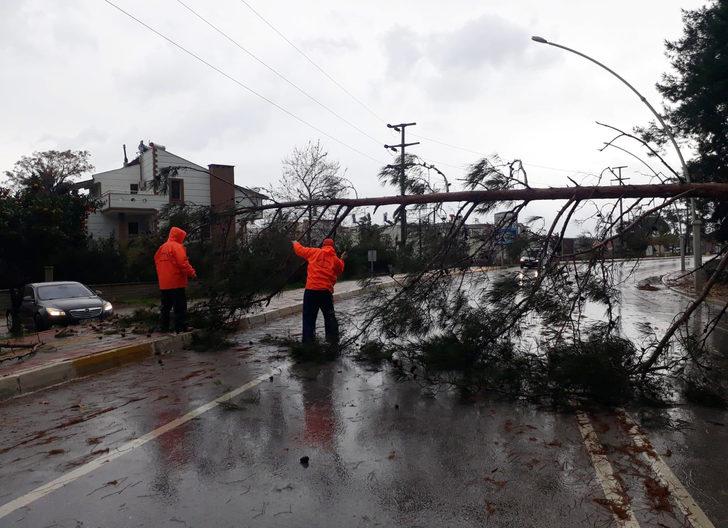 Antalya'da dev dalgalar, falezleri dövdü (3) G4