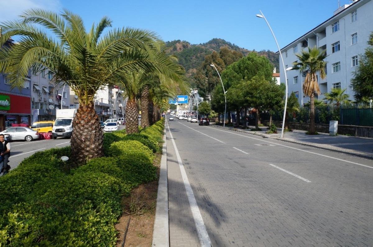 Marmaris&rsquo;te ağa&ccedil;landırma seferberliği