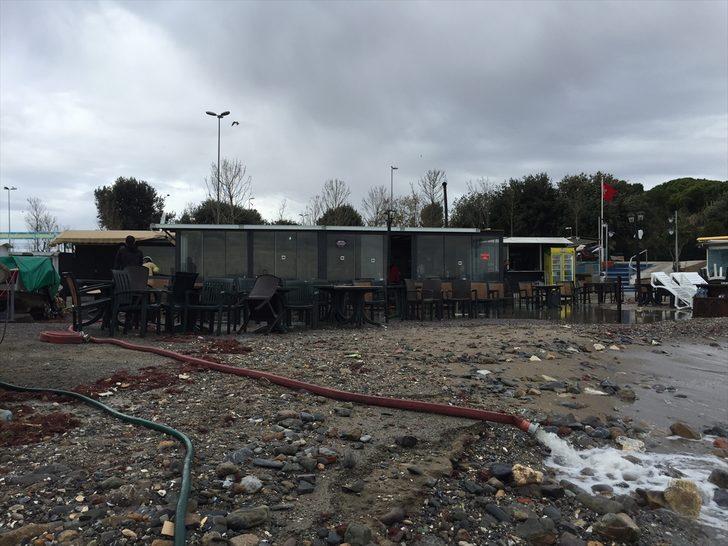 Caddebostan Sahili'nde kırmızı yosunlar karaya vurdu G5