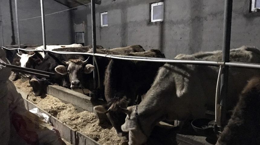 Besicilerin umudu Kurban&rsquo;a kaldı