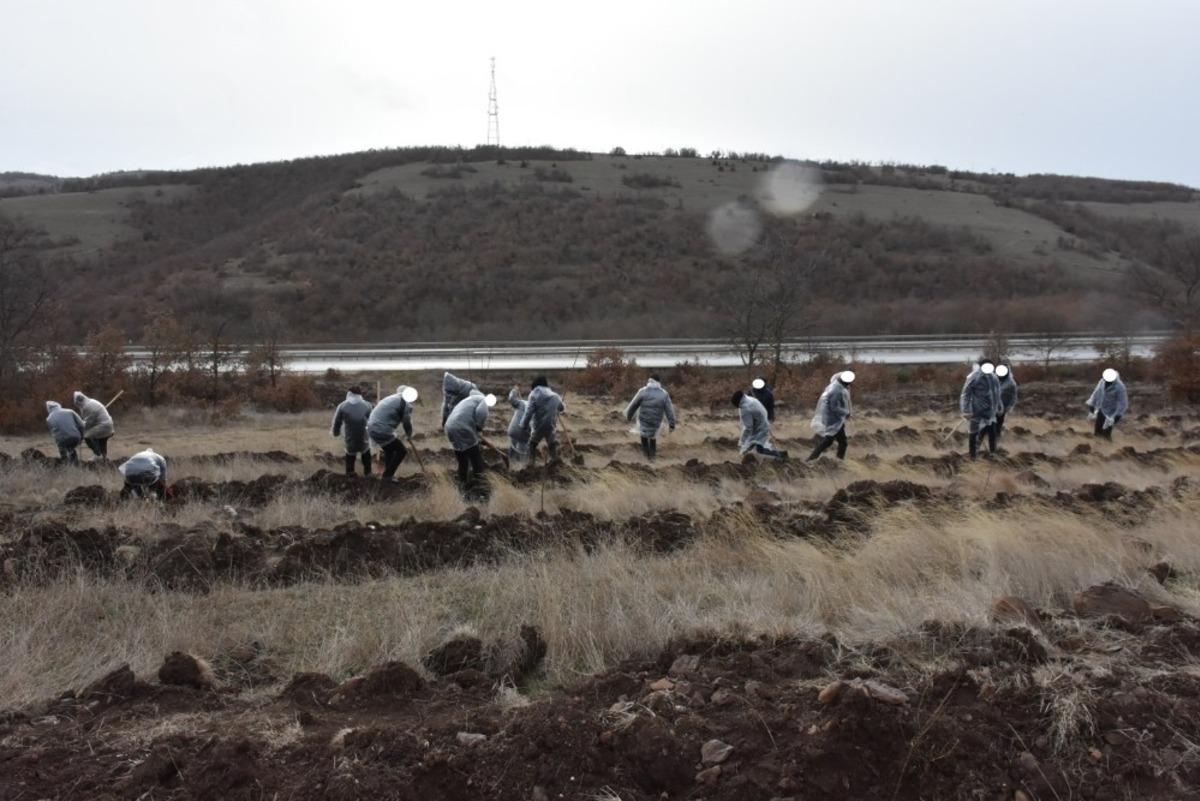 Y&uuml;k&uuml;ml&uuml;ler 600 adet ceviz ve badem fidanını toprakla buluşturdu