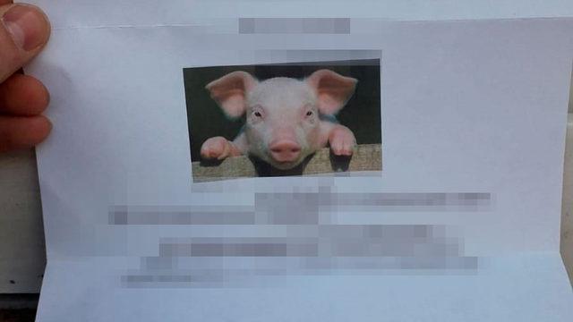 Camiye domuz fotoğrafı bulunan mektup gönderildi!