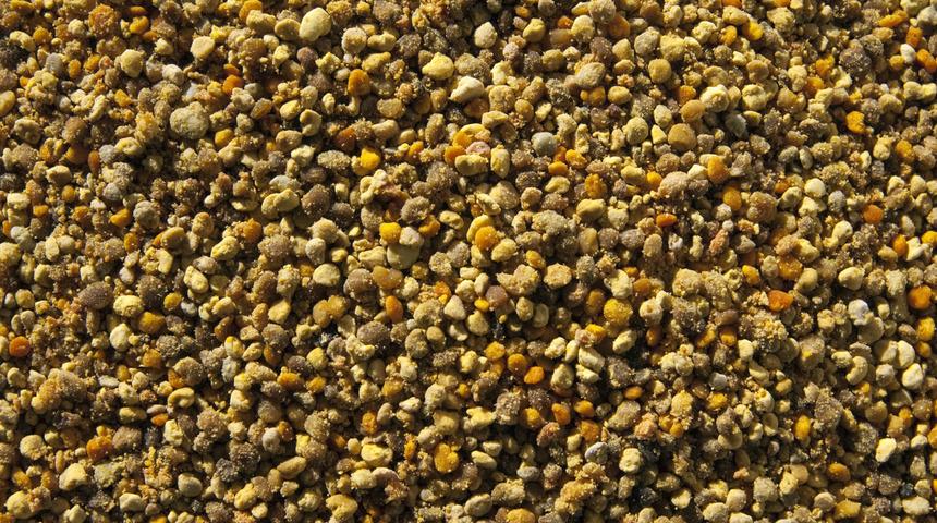 Arı poleni nedir, arı poleni faydaları nelerdir?