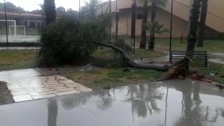 Fırtına sahilde sağlam şemsiye bırakmadı G2