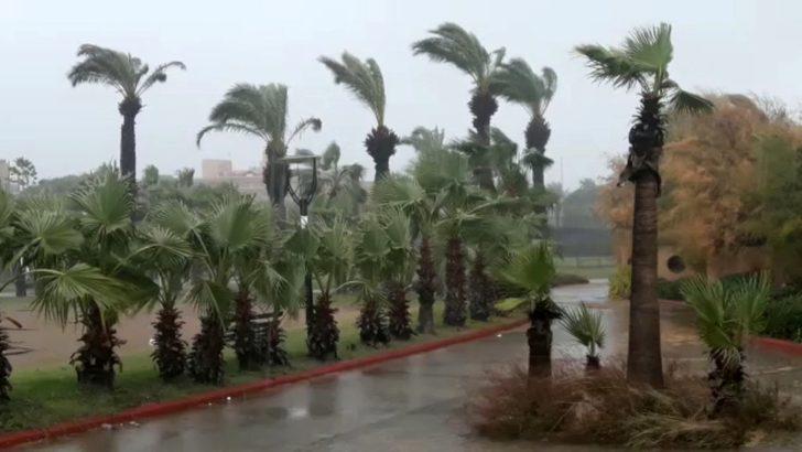 Fırtına sahilde sağlam şemsiye bırakmadı G3