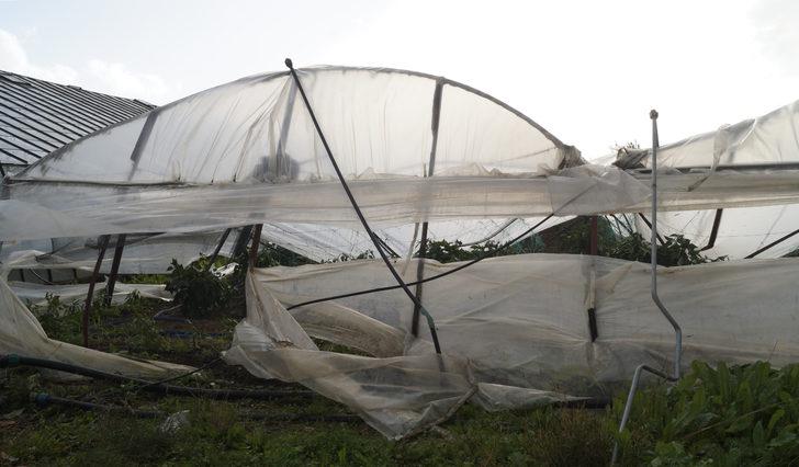 Antalya'da dev dalgalar, falezleri dövdü (5) G4