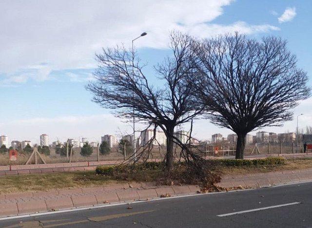 Kayseri'de lodos, çatıları uçurdu