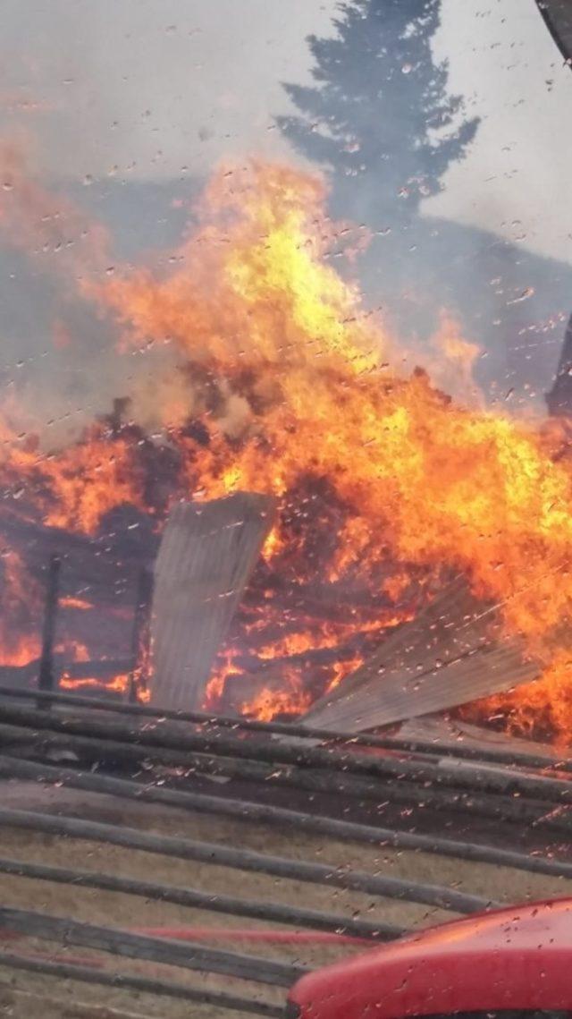 Tosya’da çıkan yangında 1 ev küle döndü