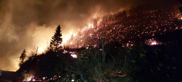 Karadeniz'de 4 ilde çok sayıda yangın! Kriz masası oluşturuldu G5