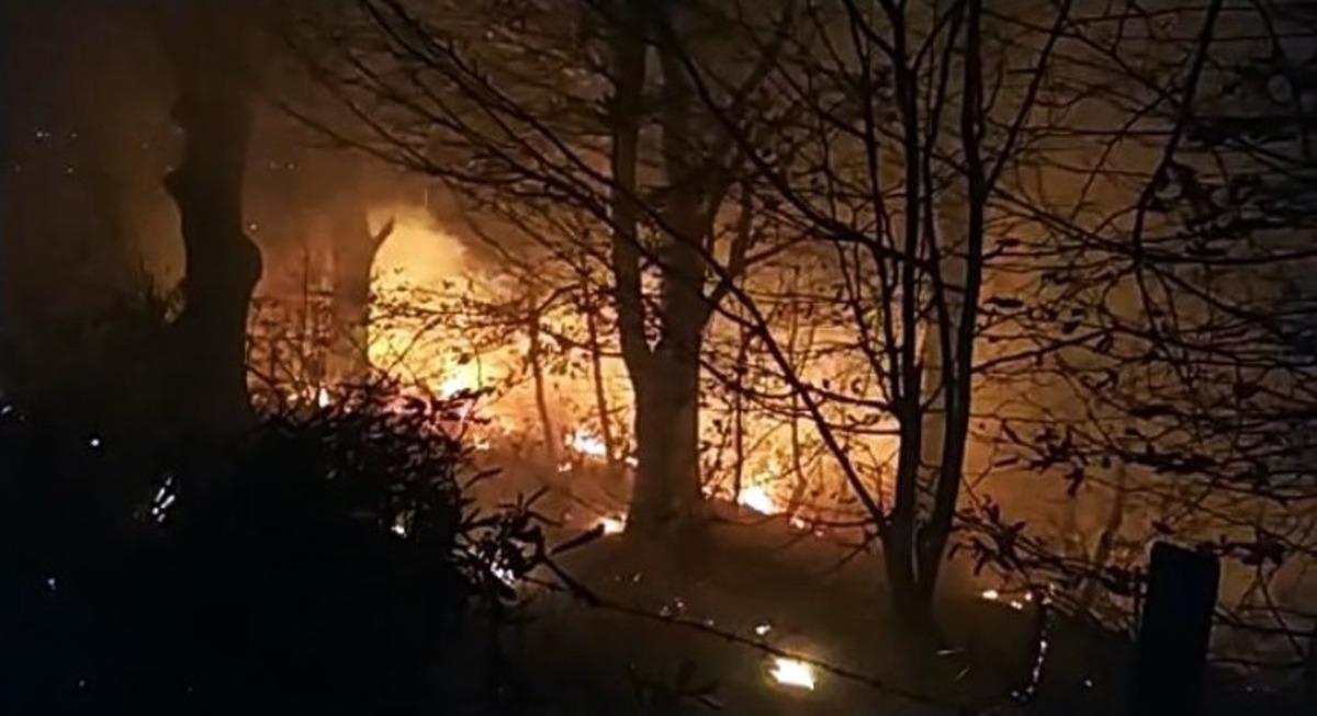 5 d&ouml;n&uuml;ml&uuml;k arazide &ccedil;ıkan yangın s&ouml;nd&uuml;r&uuml;ld&uuml;