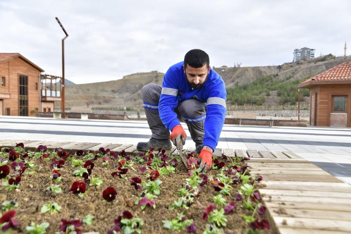 Mamak kışın da &ccedil;i&ccedil;ek a&ccedil;ıyor